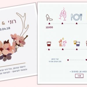 מגיעים או לא-12