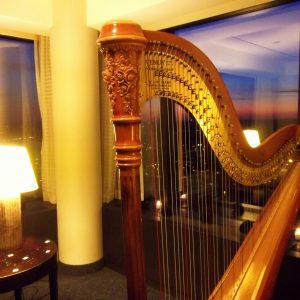 HODAYA VAHAV-Amway_Grand_Rapids_Harpist