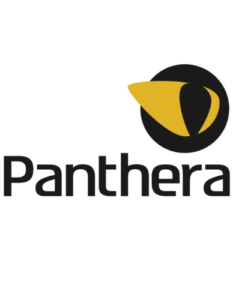 Panthera פנתרה