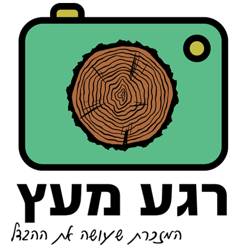 logo-רגע מעץ
